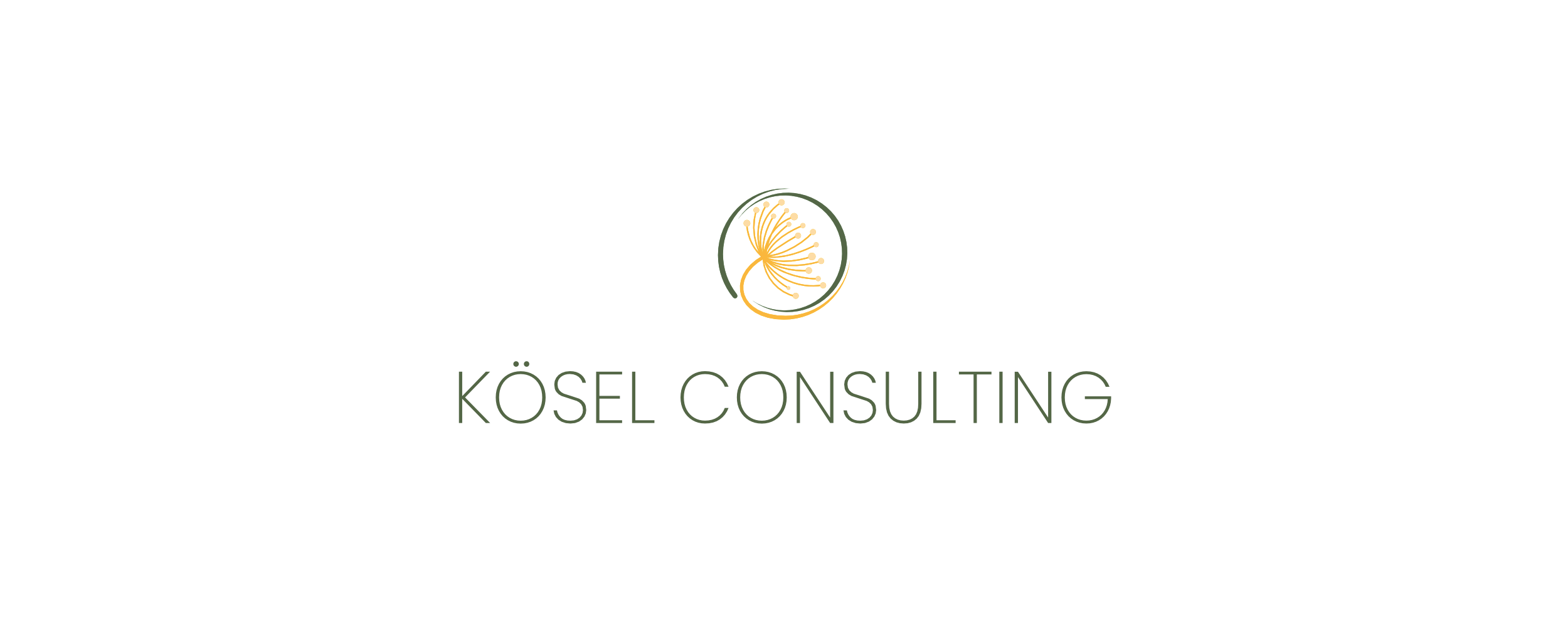 koesel-consulting-design-0
